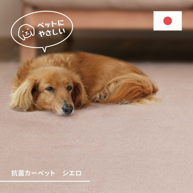 ペットも安心 日本製 抗菌 敷き詰めカーペット シエロ 江戸間6帖 6畳 防臭 カットパイル ペット 爪引っかかり防止 ラグマット オールシーズン(代引不可)