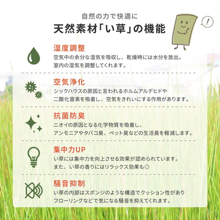 日本製 い草ラグ 261×352cm 江戸間6畳 国産い草100% カーペット 上敷き 畳 マット 抗カビ 消臭 エルモード(代引不可)