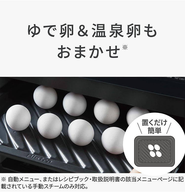 NE-BS9D-K Panasonic スチームオーブンレンジ Bistro