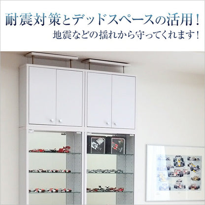 コレクションラック Luke ルーク 浅型 ハイタイプ 専用 上置き 幅48.5 奥行き19 ケース ラック おしゃれ 収納 フィギュア 大容量(代引不可)