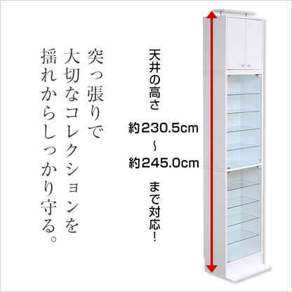 コレクションラック Luke ルーク 深型 ハイタイプ 専用 上置き 幅48.5 奥行き29 ケース おしゃれ 収納 フィギュア 大容量 ディスプレイ(代引不可)