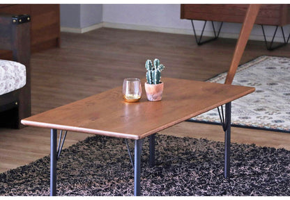 RAGO リビングテーブル センターテーブル 高級感 テーブル ローボード 北欧 一人暮らし リビング 収納 シンプル モダン コンパクト 韓国 インテリア 収納付き(代引不可)