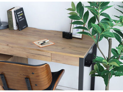 フリッツ デスク 幅120cm スチール脚 アジャスター付き 高級感 収納 引き出し リビング ダイニング パソコンデスク PCデスク リモート 在宅 シンプル 机 テーブル(代引不可)