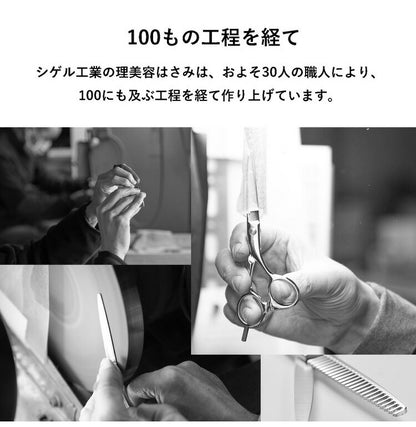 燕三条の髪はさみ ミニ2点セット シゲル工業 美容師のミニカットはさみ/ミニスキばさみ 桐箱入り 家庭用 セルフカット 本格仕様 散髪はさみ 子ども ヘアカット 日本製 国産 プレゼント ギフト(代引不可)