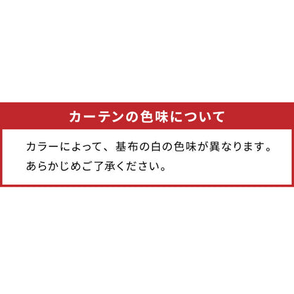 高機能 断熱 レースカーテン 夜も見えにくい 6タイプ×11サイズ UVカット テイジン エコリエ使用 洗える 高断熱 高保温 遮熱 北欧 遮像 おしゃれ 白 幅100 150 丈88 108 133 176 198