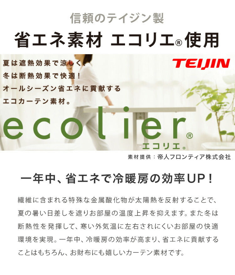 間仕切りカーテン エコリエ 幅100 丈250 フリーカット 帝人 パタパタ 保温 遮熱 アコーディオンカーテン 遮像 省エネ 洗える のれん 暖簾