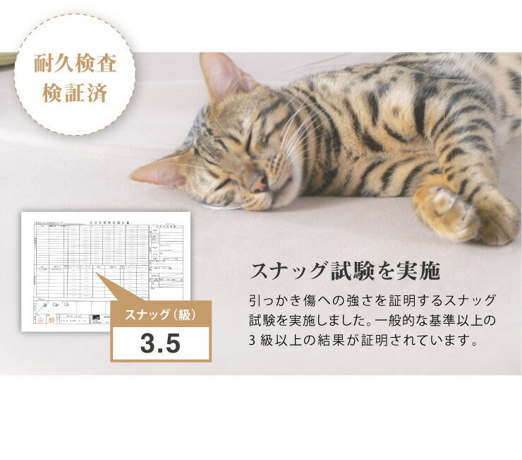 耐圧分散マット ペット用マット Mサイズ ペット マットレス 100×70 厚さ5cm 床ずれ防止 抗菌 防臭 防水 防汚加工 PLEMIUM PET LIVING