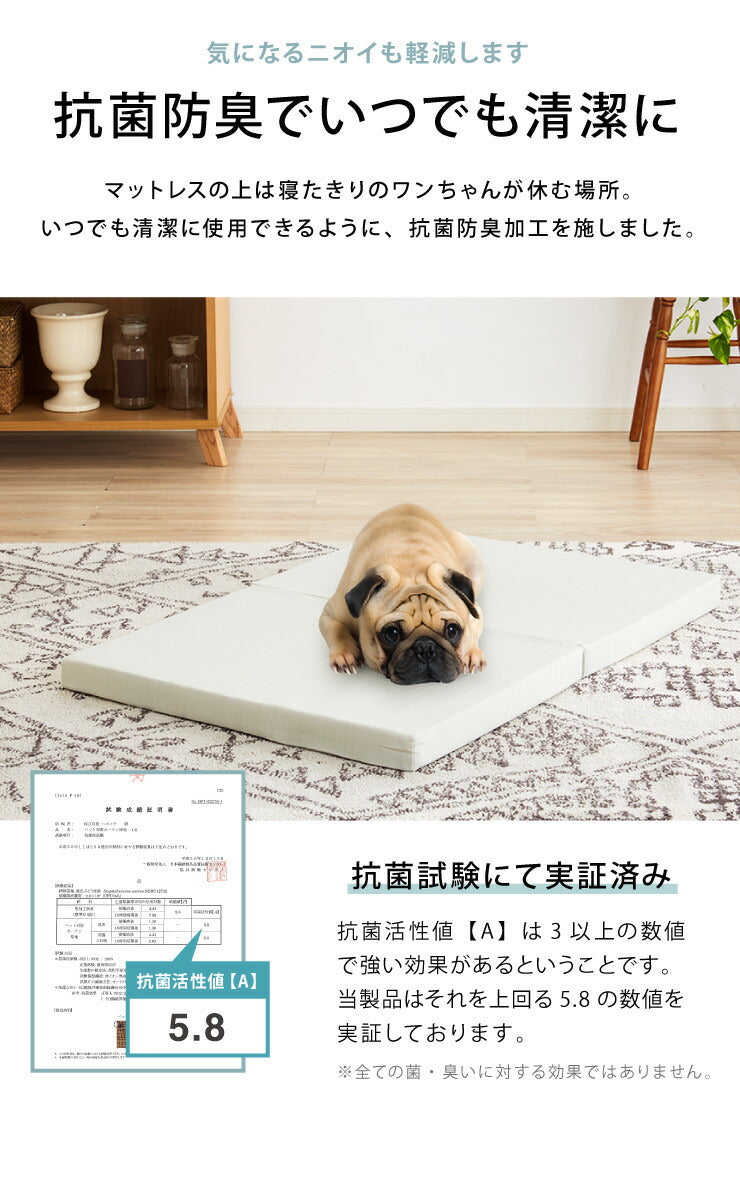耐圧分散マット ペット用マット Mサイズ ペット マットレス 100×70 厚さ5cm 床ずれ防止 抗菌 防臭 防水 防汚加工 PLEMIUM PET LIVING