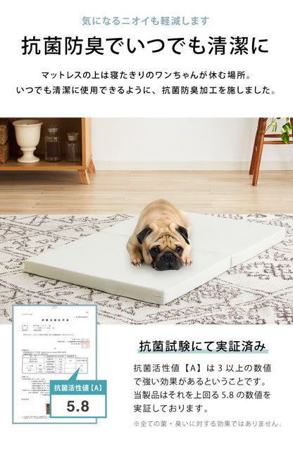 耐圧分散マット ペット用マット Mサイズ ペット マットレス 100×70 厚さ5cm 床ずれ防止 抗菌 防臭 防水 防汚加工 PLEMIUM PET LIVING