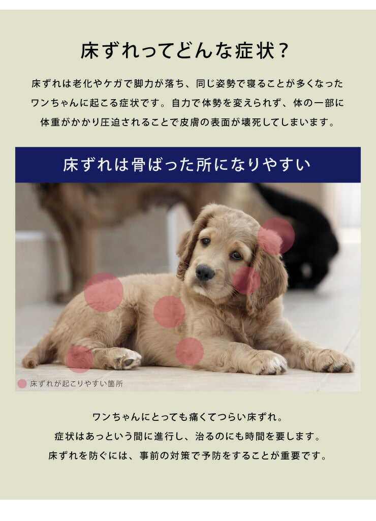 耐圧分散マット ペット用マット Mサイズ ペット マットレス 100×70 厚さ5cm 床ずれ防止 抗菌 防臭 防水 防汚加工 PLEMIUM PET LIVING