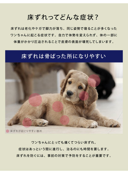 耐圧分散マット ペット用マット Mサイズ ペット マットレス 100×70 厚さ5cm 床ずれ防止 抗菌 防臭 防水 防汚加工 PLEMIUM PET LIVING