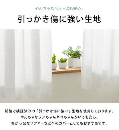 ミラーレースカーテン 2枚組 ペットの爪が引っかかりにくいレースカーテン 幅100cm UVカット 遮像 抗菌 防臭 防水 防汚 撥水 破れにくい 洗える レースカーテン PLEMIUM PET LIVING ペット 新生活 一人暮らし