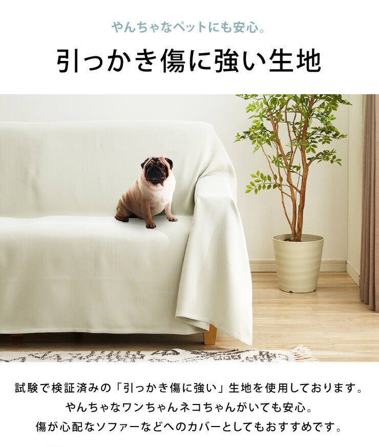 【5%OFF】ペットの爪が引っかかりにくいマルチカバー 145×180 丸洗い 抗菌 防臭 防水 防汚 撥水加工 洗える PLEMIUM PET LIVING