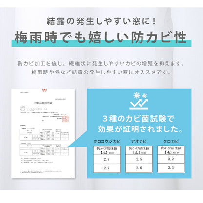 防カビレースカーテン 2枚組 幅100 幅150 防カビ 結露防止 遮熱 遮像 UVカット 紫外線カット レースカーテン カーテン ウォッシャブル 洗える 丸洗い フック付き おしゃれ 北欧 節電 省エネ エコ