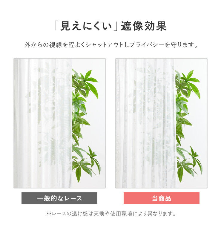 カーテン ディズニー disney 4枚セット くまのプーさん プーさん リーフ ドレープ レースカーテン付き 幅100 洗える おしゃれ(代引不可)