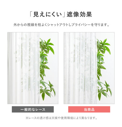 カーテン ディズニー disney 4枚セット くまのプーさん プーさん リーフ ドレープ レースカーテン付き 幅100 洗える おしゃれ(代引不可)