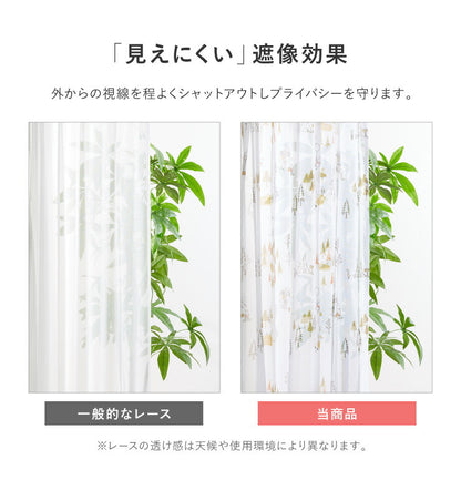 カーテン ディズニー disney 4枚セット くまのプーさん プーさん フォレスト ドレープ レースカーテン付き 幅100 洗える(代引不可)