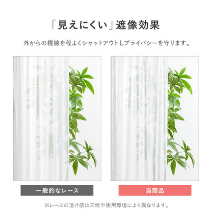 カーテン ディズニー disney 4枚セット くまのプーさん プーさん 柄物 ドレープ レースカーテン付き 幅100 洗える おしゃれ(代引不可)