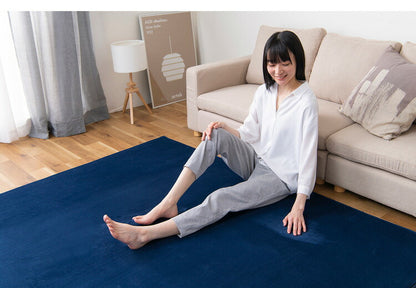 アイリスオーヤマ ラ・クッションラグ リバーシブルタイプ 185×185cm ネイビー ACRR-CM1818 ラグ ラグマット カーペット IRIS OYAMA