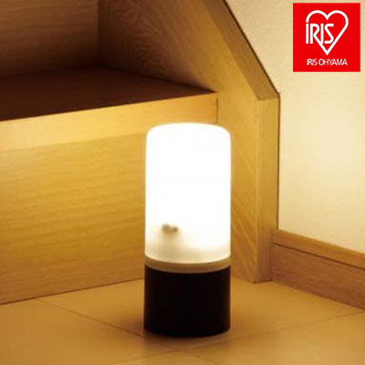 アイリスオーヤマ 電池式ガーデンセンサーライト ZSL-SEW IRIS OYAMA(代引不可)