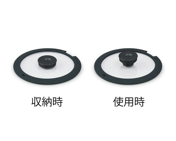 アイリスオーヤマ フライパンセット IH9点セット 着脱ハンドル ダイヤモンドコートパンディープラス IH9点セット DCI-S9S IRIS OYAMA キッチン 調理用品 キッチンツール(代引不可)