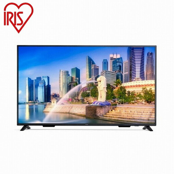 アイリスオーヤマ 4K液晶ディスプレイ 65V型 ILD-B65UHDS-B ブラック 65型ワイド 4K液晶ディスプレイ IRIS OYAMA(代引不可)