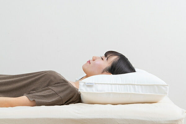 アイリスオーヤマ 枕 スリープピロー 高さ調整タイプ PTU-4060T IRIS OYAMA(代引不可)