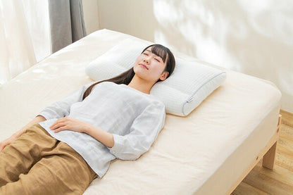 アイリスオーヤマ 枕 パイプまくら 高さ調整タイプ PPU-4060T IRIS OYAMA(代引不可)