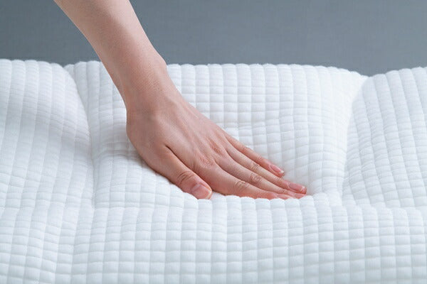 アイリスオーヤマ 枕 パイプまくら 高さ調整タイプ PPU-4060T IRIS OYAMA(代引不可)