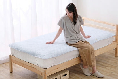 アイリスオーヤマ 除湿敷きパッド シングル BSP-JB-S IRIS OYAMA(代引不可)