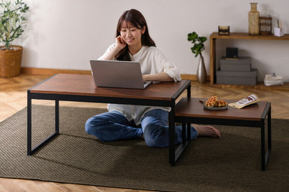 アイリスオーヤマ ネストテーブル 幅90/幅50 テーブル2点セット スチールフレームセンターテーブル 伸縮 ローテーブル 北欧 おしゃれ ウォールナット SFCT-900N IRIS OYAMA(代引不可)