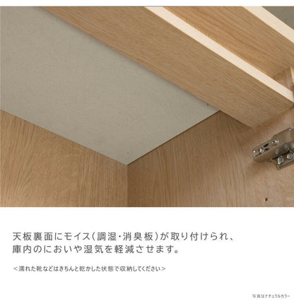 シューズボックス 下駄箱 靴箱 完成品 幅72.5×奥行37.5×高さ105cm MOISS加工 木製 脚付きエントランス 玄関 収納 棚 靴 シューズ ロータイプ 可動 高さ調節 消臭 おしゃれ 北欧 大容量 日本製 国産(代引不可)