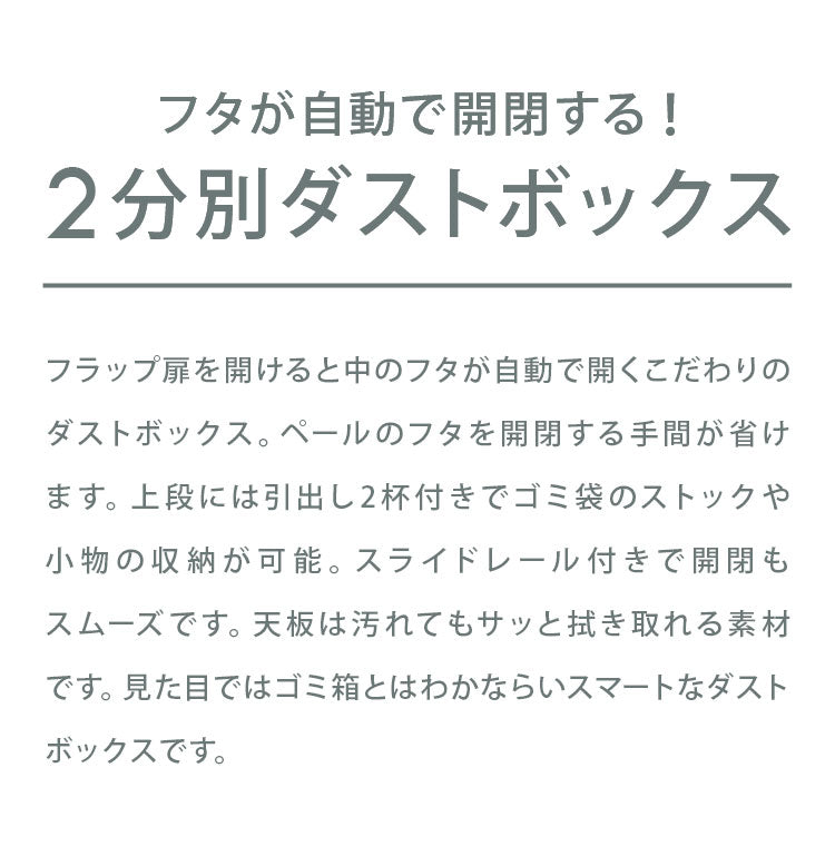 ゴミ箱 隠す収納 キッチンカウンター 2分別 蓋が自動開閉 スライドレール付き完成品 日本製 ペールワゴン ペールストッカー ダストボックス レンジ台 レンジラック(代引不可)