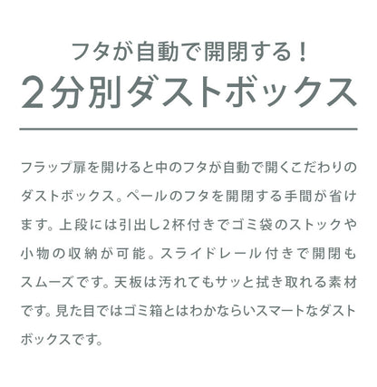 ゴミ箱 隠す収納 キッチンカウンター 2分別 蓋が自動開閉 スライドレール付き完成品 日本製 ペールワゴン ペールストッカー ダストボックス レンジ台 レンジラック(代引不可)