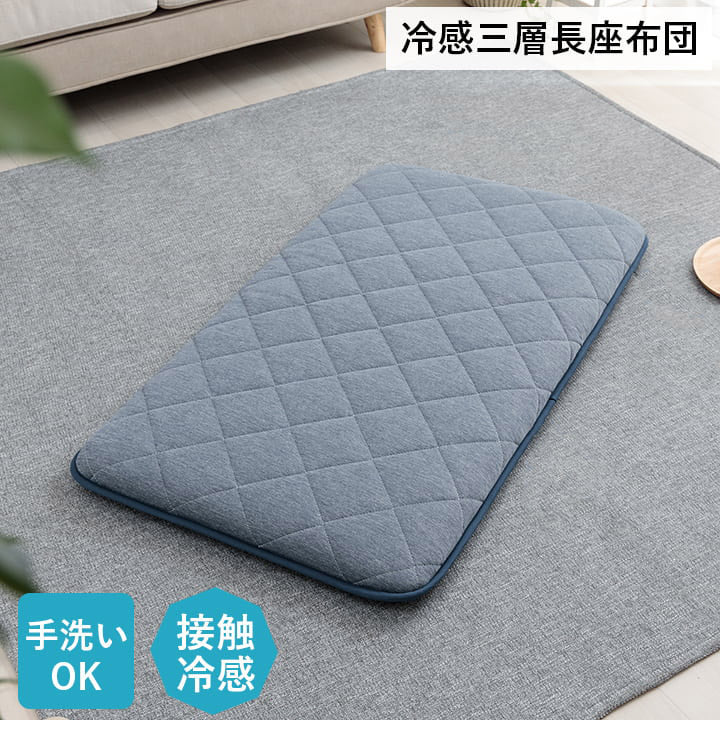 ひんやり 長座布団 65×115cm 接触冷感 冷たい 涼しい イケヒコ フロスト ごろ寝 クッション 座布団 リビング 寝室 子供部屋 新生活 一人暮らし(代引不可)