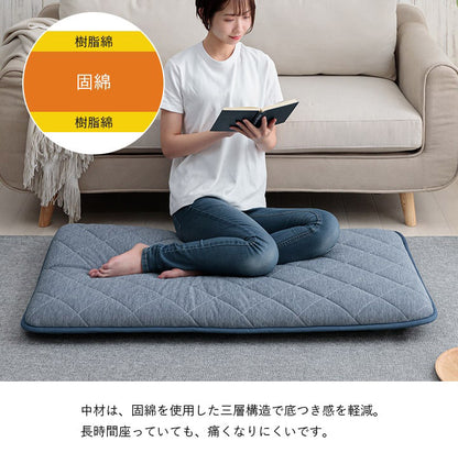 ひんやり 長座布団 65×115cm 接触冷感 冷たい 涼しい イケヒコ フロスト ごろ寝 クッション 座布団 リビング 寝室 子供部屋 新生活 一人暮らし(代引不可)