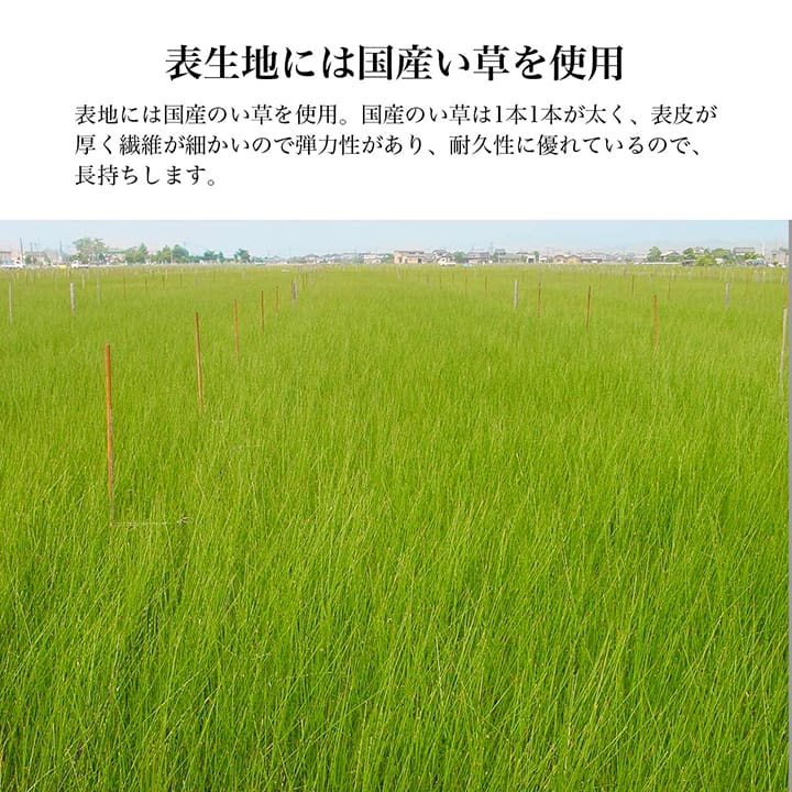 日本製 い草 足枕 くつろぎ 刺しゅう入り 父の日 母の日 ギフト(代引不可)