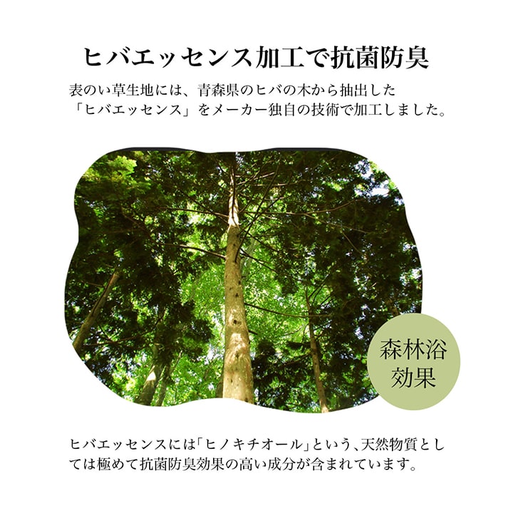 日本製 い草 足枕 くつろぎ 刺しゅう入り 父の日 母の日 ギフト(代引不可)