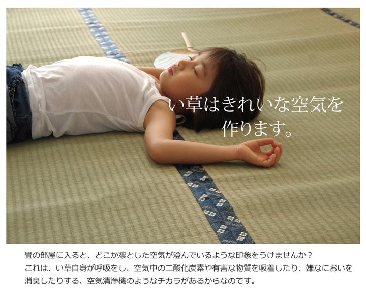 純国産 い草 上敷き 六一間6畳 約277×368cm カーペット 糸引織 『梅花』 敷物 絨毯 じゅうたん マット インテリア 北欧 OK オールシーズン 新生活 シンプル(代引不可)