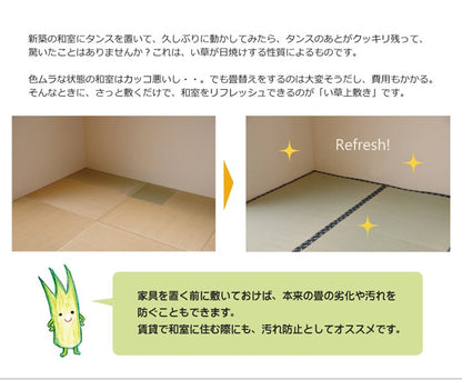 純国産 い草 上敷き 六一間8畳 約370×370cm カーペット 糸引織 『梅花』 敷物 絨毯 じゅうたん マット インテリア 北欧 OK オールシーズン 新生活 シンプル(代引不可)