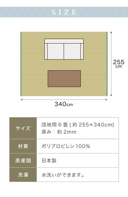 洗える い草調 カーペット ダイニング ラグ 団地間6畳(約255×340cm) 長方形 敷詰 上敷き 丈夫 日本製 国産 除菌スプレー対応 ござ アウトドア ペット 犬 猫(代引不可)