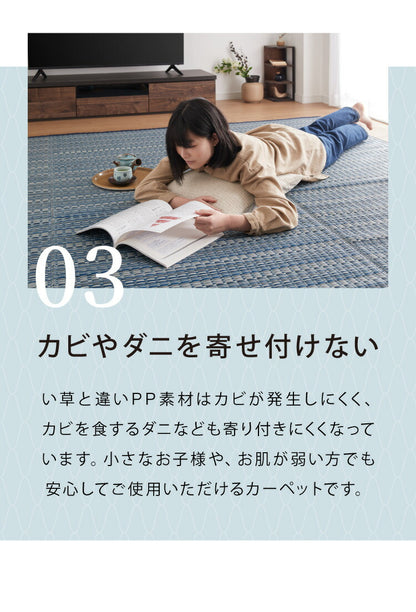 洗える い草調 カーペット ダイニング ラグ 本間8畳(約382×382cm) 正方形 敷詰 上敷き 丈夫 日本製 国産 除菌スプレー対応 アウトドア ペット 犬 猫 ねこ(代引不可)