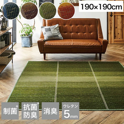 ラグ 190×190cm 小林製薬 持続性抗菌剤 KOBA-GUARD 制菌 抗菌防臭 滑り止め ウレタン 不織布 夏 い草 グラデーション(代引不可)