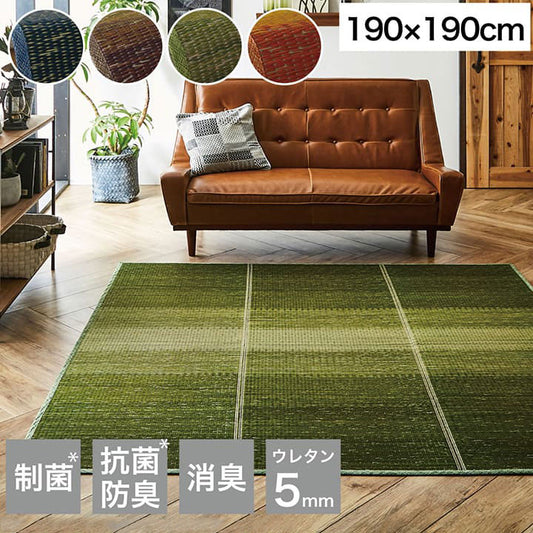 ラグ 190×190cm 小林製薬 持続性抗菌剤 KOBA-GUARD 制菌 抗菌防臭 滑り止め ウレタン 不織布 夏 い草 グラデーション(代引不可)