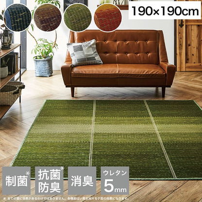 ラグ 190×190cm 小林製薬 持続性抗菌剤 KOBA-GUARD 制菌 抗菌防臭 滑り止め ウレタン 不織布 夏 い草 グラデーション(代引不可)