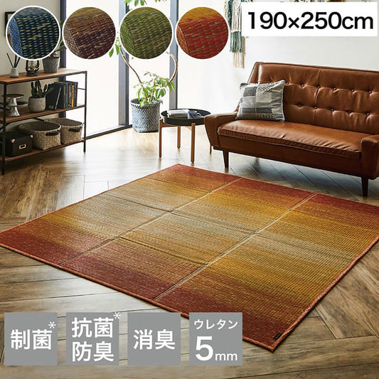 ラグ 190×250cm 小林製薬 持続性抗菌剤 KOBA-GUARD 制菌 抗菌防臭 滑り止め ウレタン 不織布 夏 い草 グラデーション(代引不可)