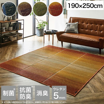 ラグ 190×250cm 小林製薬 持続性抗菌剤 KOBA-GUARD 制菌 抗菌防臭 滑り止め ウレタン 不織布 夏 い草 グラデーション(代引不可)