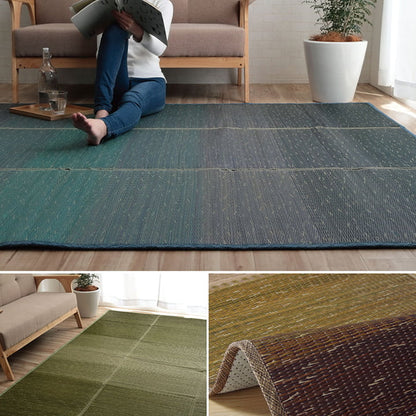 ラグ 190×250cm 小林製薬 持続性抗菌剤 KOBA-GUARD 制菌 抗菌防臭 滑り止め ウレタン 不織布 夏 い草 グラデーション(代引不可)