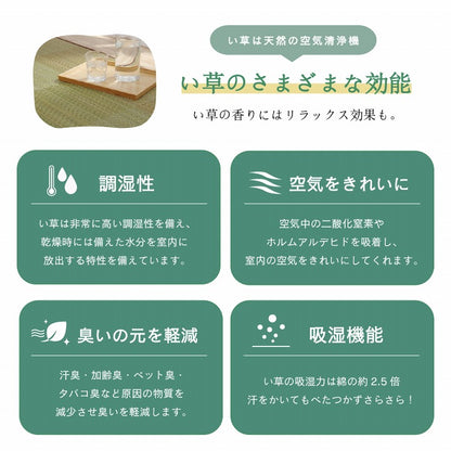 ラグ 正方形 2畳 190×190cm い草 自然素材 クッション性 撥水 防ダニ 滑り止め加工 抗菌防臭 消臭(代引不可)