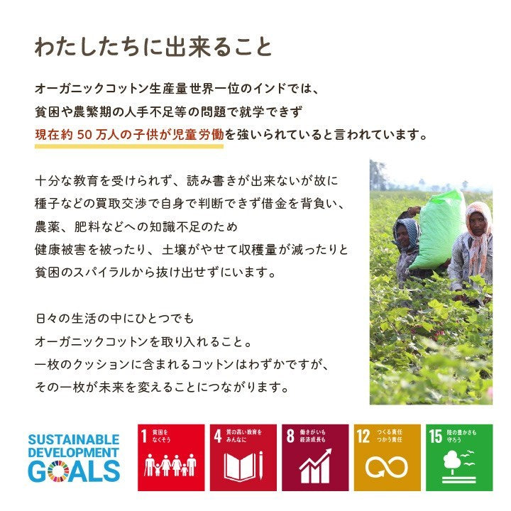クッション 四角 厚い 持ち運び 日本製 オーガニックコットン 綿100% 無地 洗える 座布団 約40×40cm イエロー クララ(代引不可)